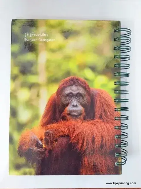 สมุดโน้ตพิมพ์ภาพลิงอุรังอุตังบอร์เนียว Bornean Orangutan สัตว์ป่าคุ้มครอง เข้าเล่มห่วงเหล็ก ทนทาน ใช้งานง่าย เหมาะสำหรับโครงการอนุรักษ์สัตว์ป่า องค์กรด้านสิ่งแวดล้อม และกิจกรรม CSR จากโรงพิมพ์ BPK Printing